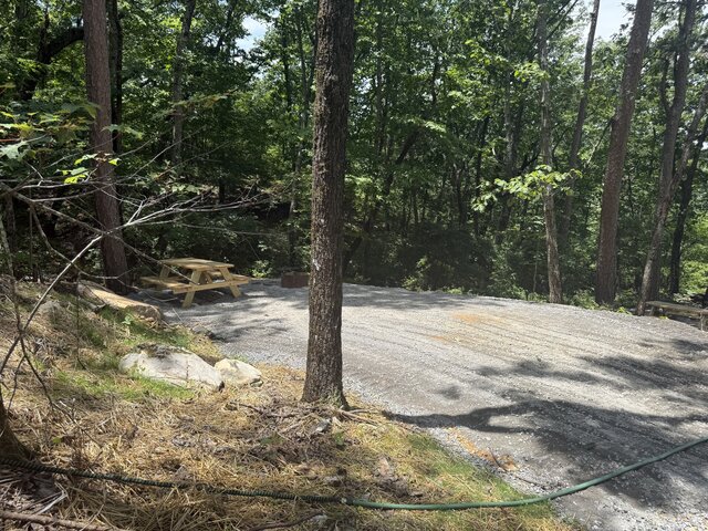 Image 4 for RV Site #19