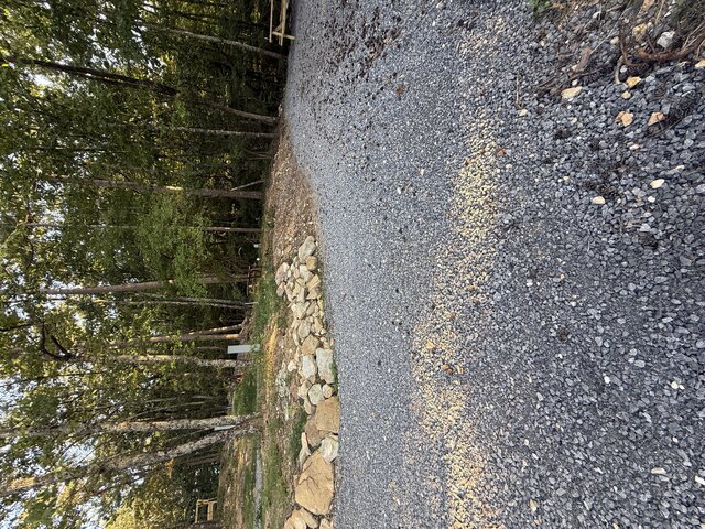 Image 11 for RV Site #21
