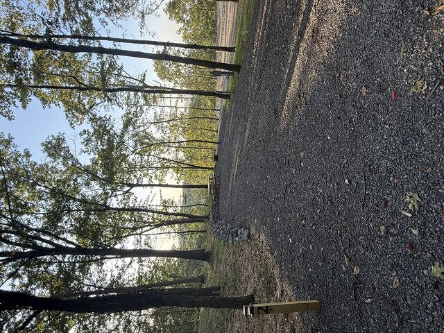 Image 1 for RV Site #2