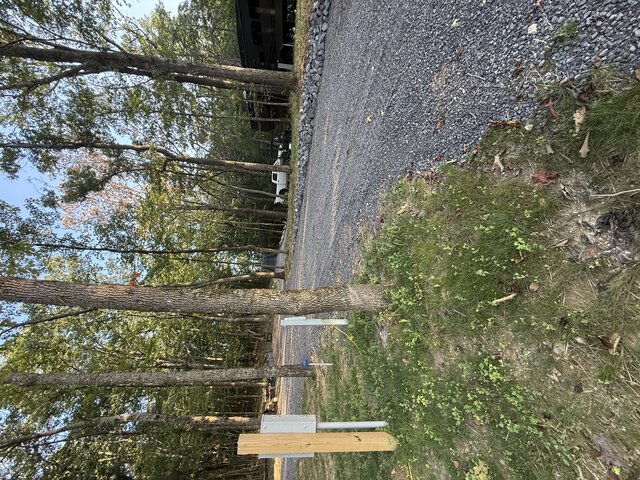 Image 6 for RV Site #2