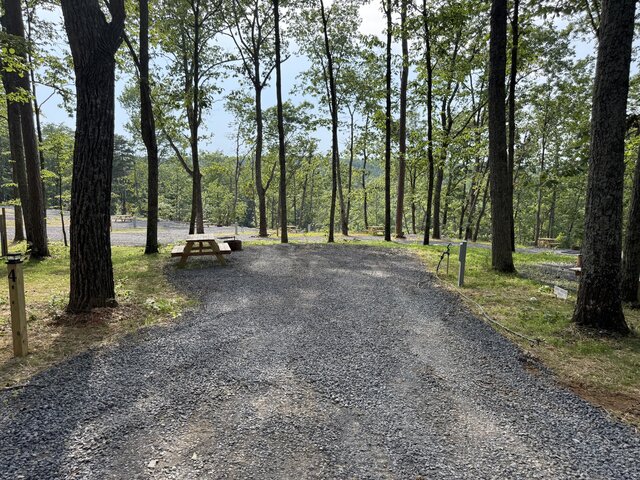 Image 2 for RV Site #4