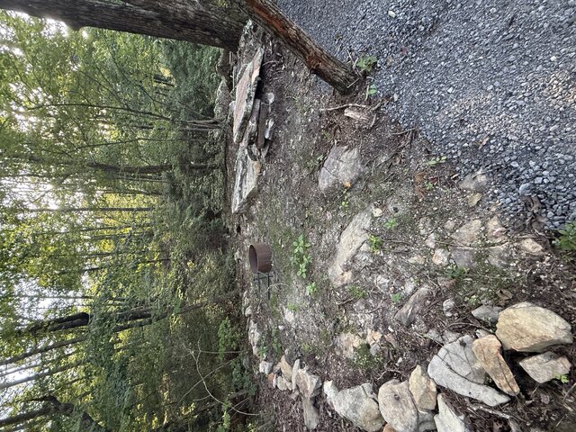 Image 7 for RV Site #21