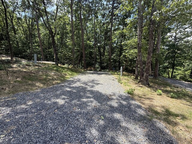 Image 8 for RV Site #20