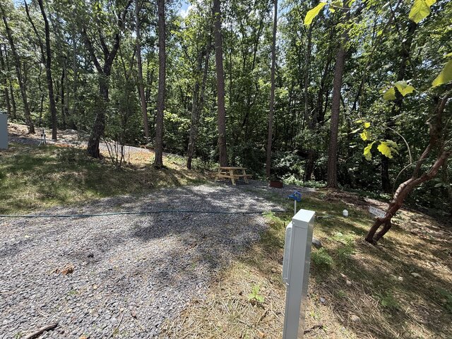 Image 7 for RV Site #20