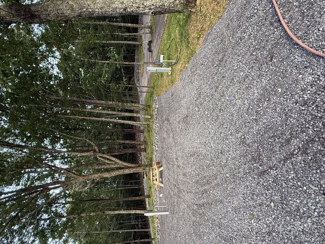 Image 3 for RV Site #12