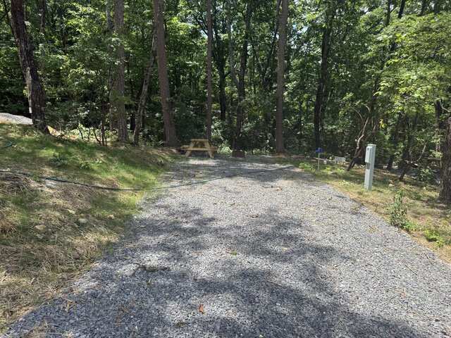 Image 2 for RV Site #20