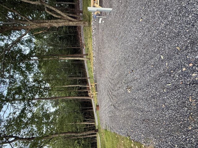 Image 4 for RV Site #11