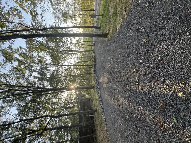 Image 7 for RV Site #2