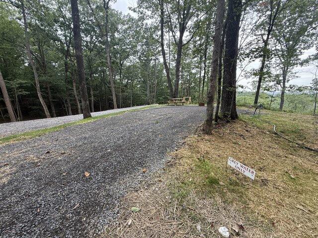 Image 8 for RV Site #1