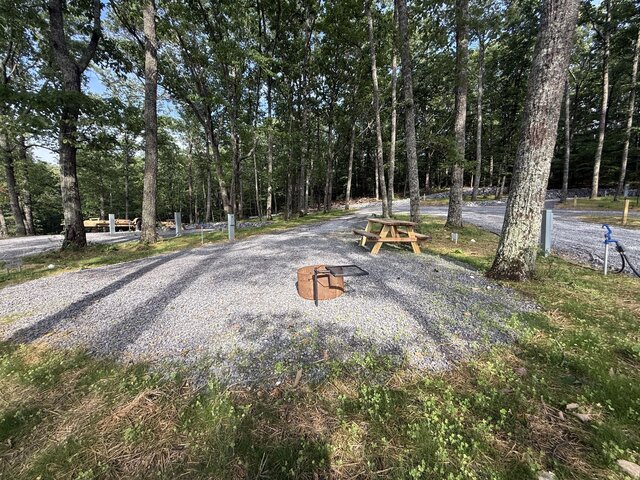 Image 6 for RV Site #6