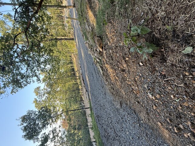 Image 6 for RV Site #21