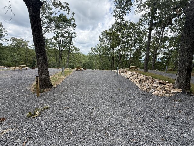 Image 1 for RV Site #15
