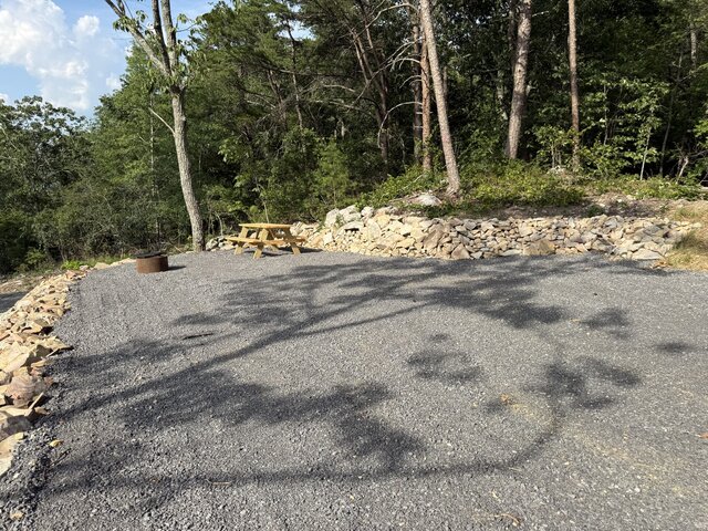 Image 11 for RV Site #8