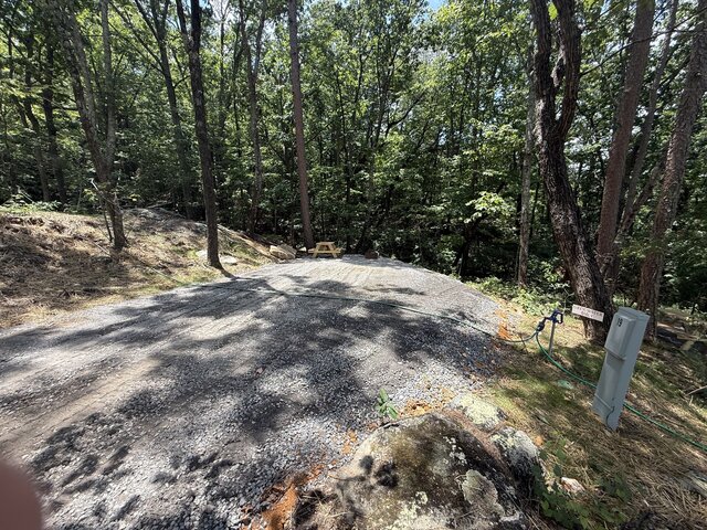 Image 8 for RV Site #19