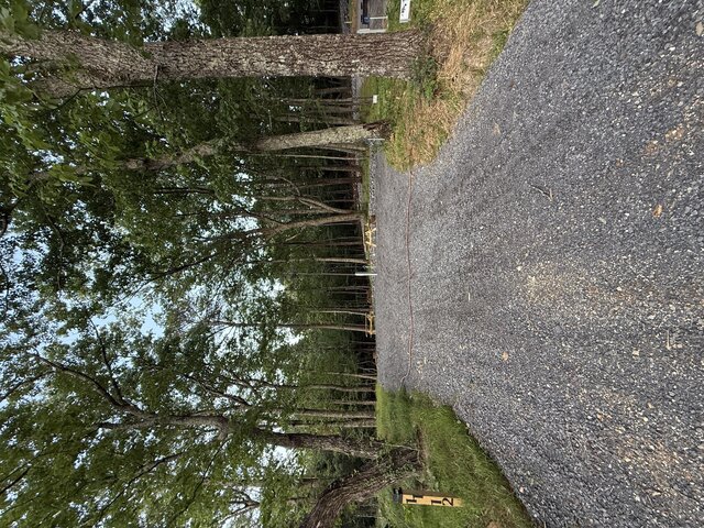 Image 1 for RV Site #12