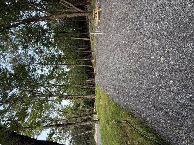 Image 3 for RV Site #11