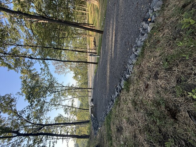 Image 2 for RV Site #2