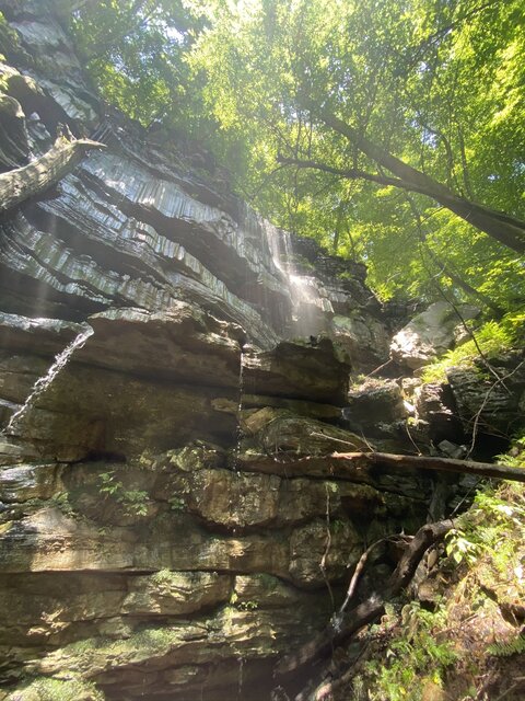 Image 1 for T 11) Adventure Tent Site