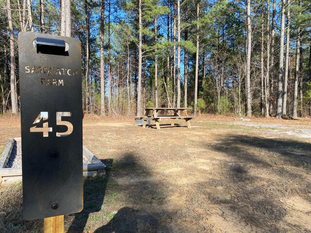 Image 2 for RV 45) RV Site Full Hook Up / Back-In site