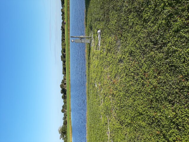 Image 1 for RV Site #1