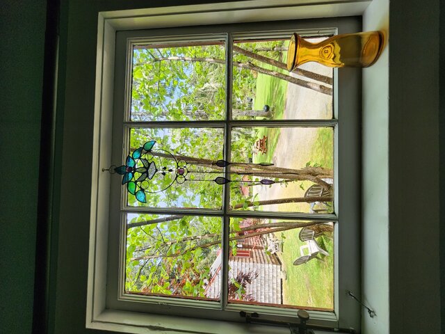 Image 8 for Native Cottage