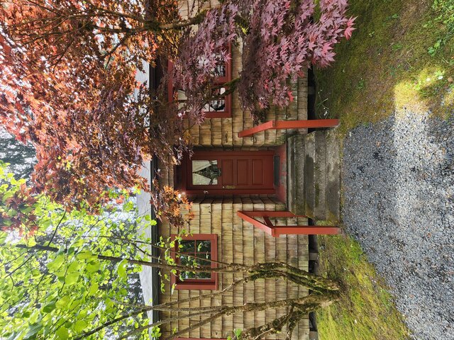 Image 2 for Native Cottage