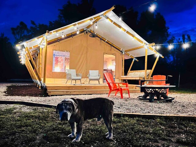 Image 1 for Tropical Glamping