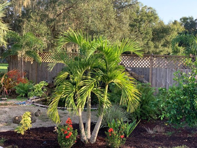 Image 25 for Tropical Getaway