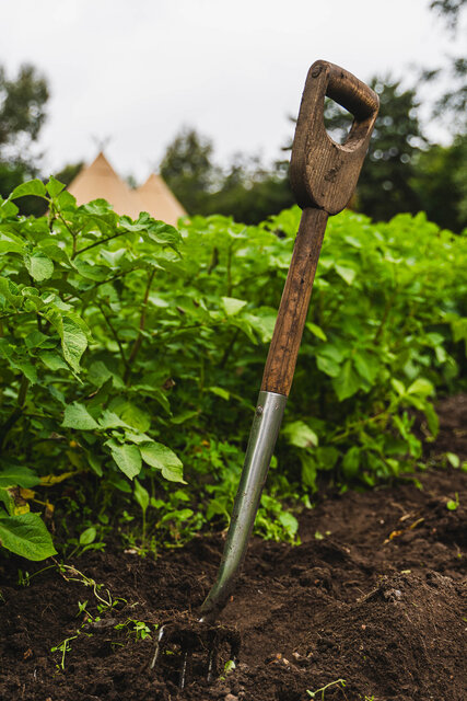 Image 2 for Whole site booking