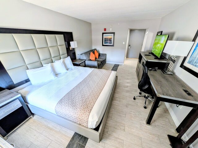 Image 2 for Single King + Sofa Sleeper (Pool View)