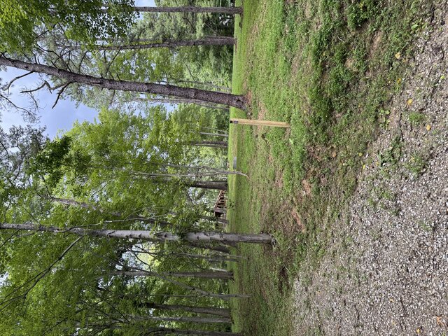 Image 2 for 36) Primitive Tent Site #36