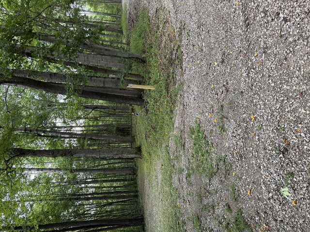 palmerosa campground site 41