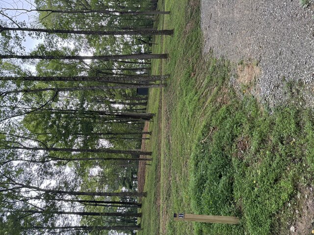 palmerosa campground 36