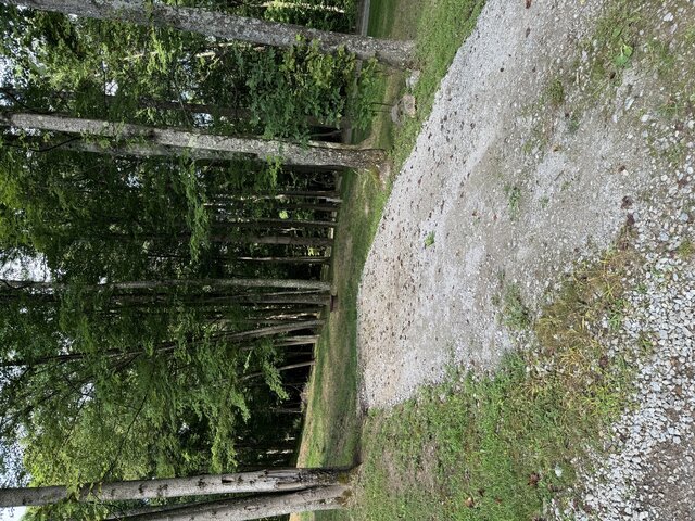 palmerosa campground site 24