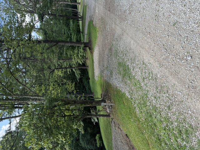 palmerosa campground