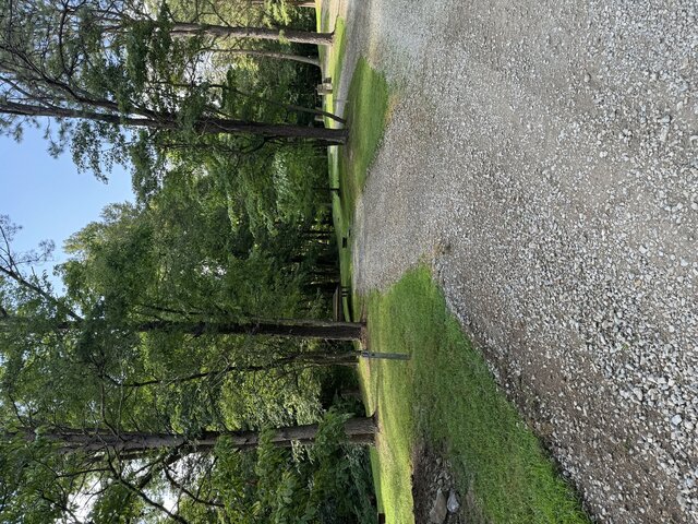 palmerosa campground