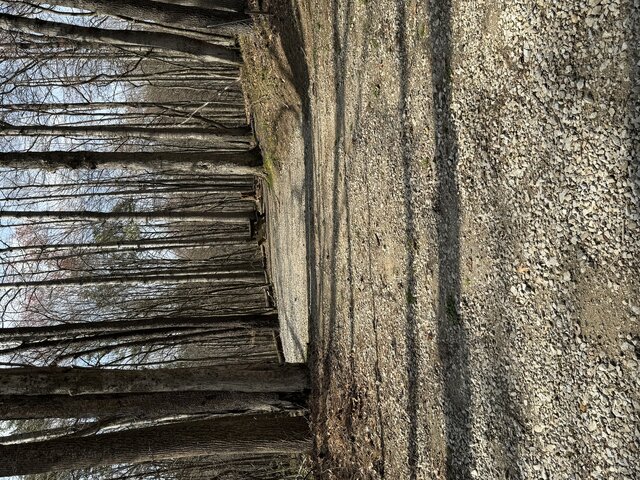 palmerosa campground site 41