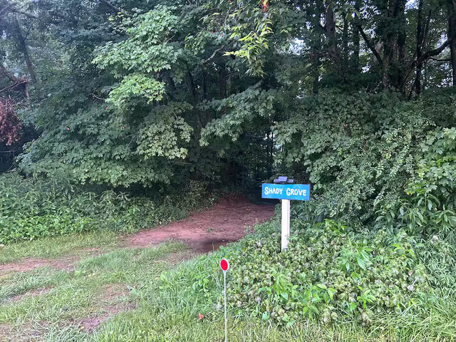 Image 2 for Shady Grove #5