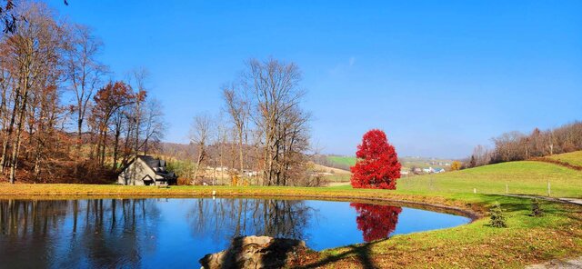 Image 6 for Hemlock Cabin
