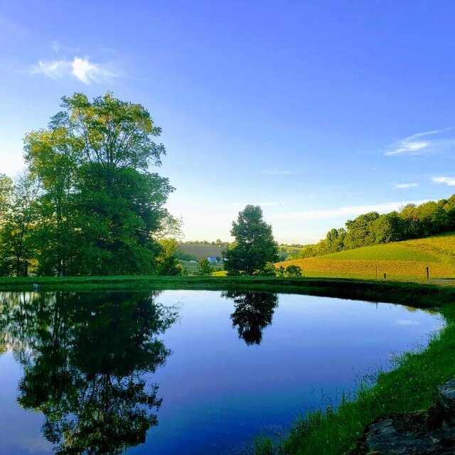 Image 8 for The Briarwood Cabin