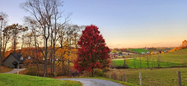 Image 5 for Hemlock Cabin