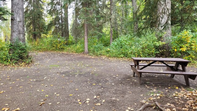 Image 2 for 31)  Forest View Site #31