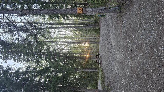 Image 3 for 18)  Forest View Site #18