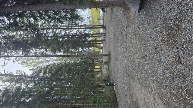 Image 2 for 18)  Forest View Site #18