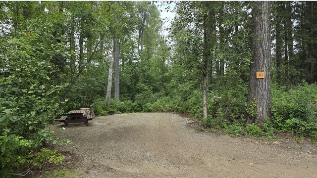 Image 1 for 30)  Forest View Site #30