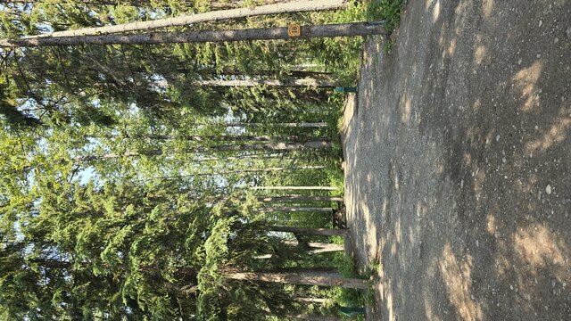 Image 1 for 18)  Forest View Site #18