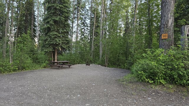 Image 1 for 20)  Forest View Site #20