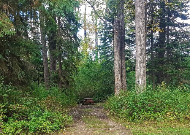 Image 3 for 31)  Forest View Site #31