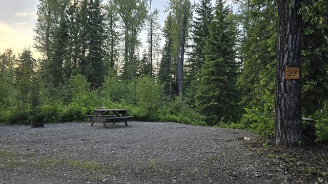 Image 2 for 27) Forest Site #27