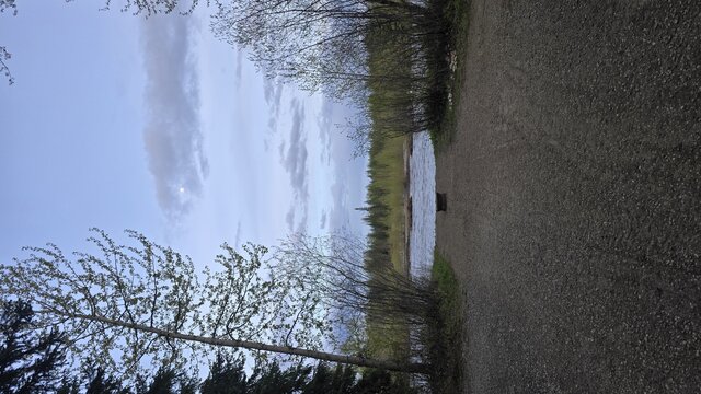 Image 3 for 11) River View Site #11